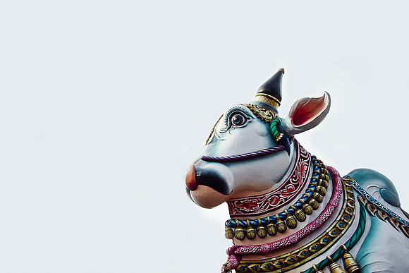 Bull at the Madurai meenakshi Amman temple