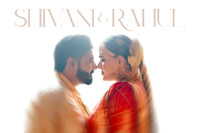Shivani & Rahul Wedding Blog