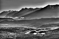 Rattlesnake Ridge Archive