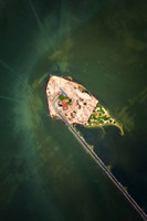 Dhanushkodi island
