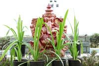 Reception-Regular
