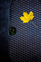 the fall