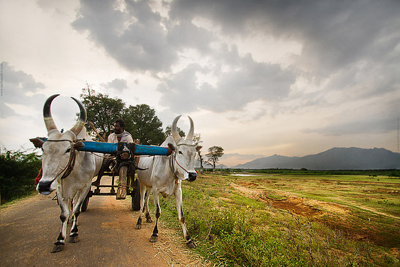 Tenkasi, Tamilnadu