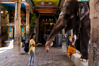 Kumbakonam Trip