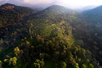 Valparai 3