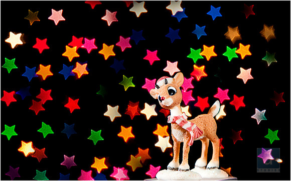 deer_bokeh_star_0037 copy