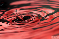 Water Drops Archive