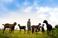 Agriculture experience