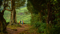 Meghamalai