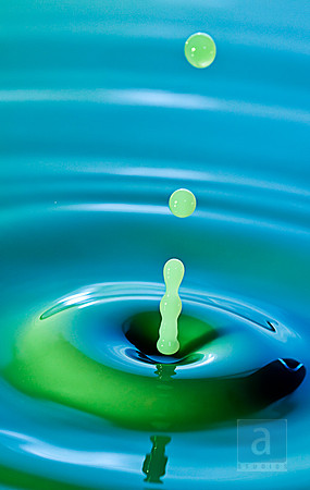 milkdrops_0129 copy