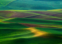 Random travel