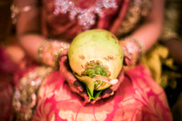 Lotus Wedding Trailer